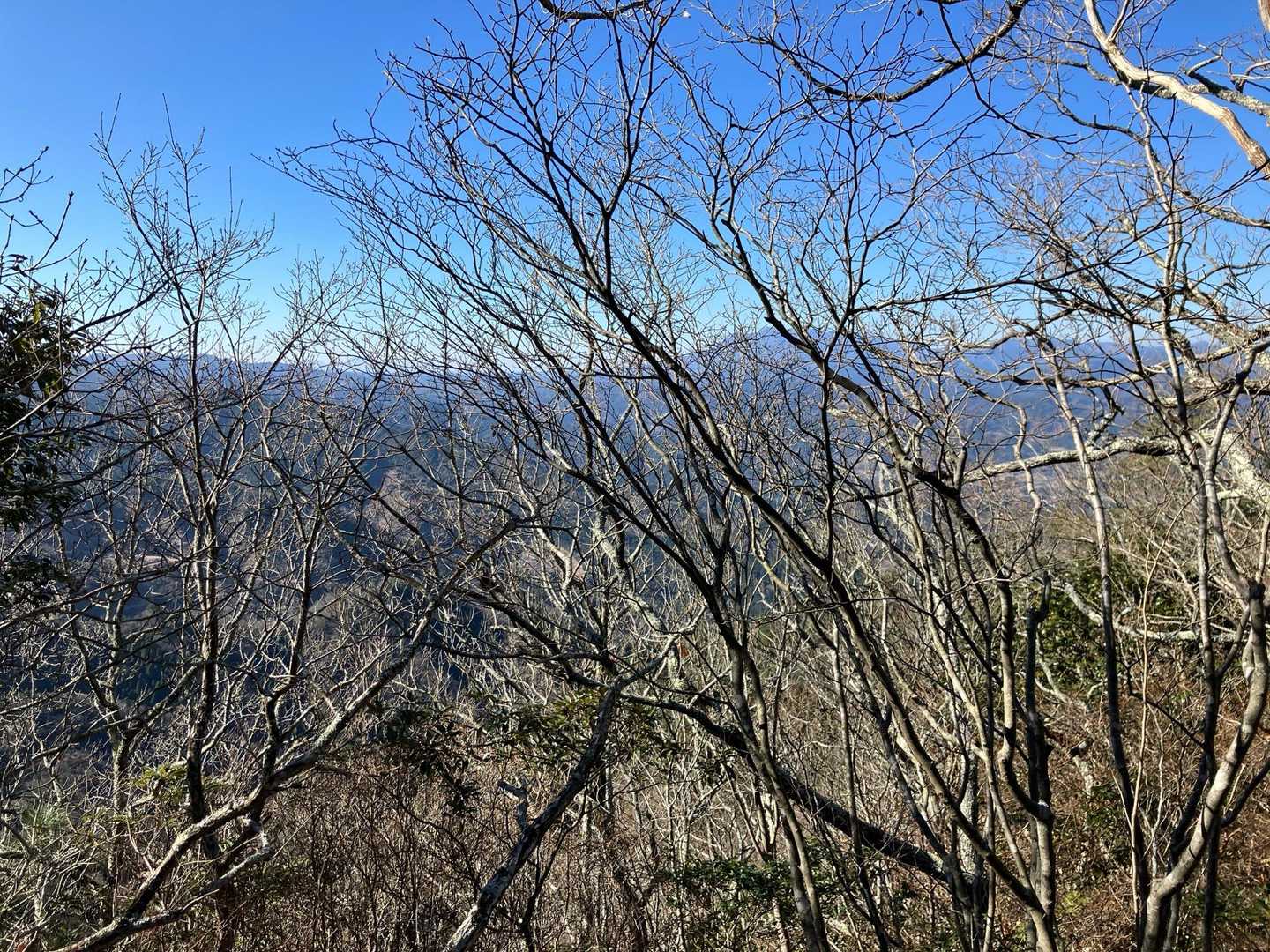 いやいやまだまだでした
枯木の隙間から山々が見えて