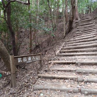 下山の最後の階段登り