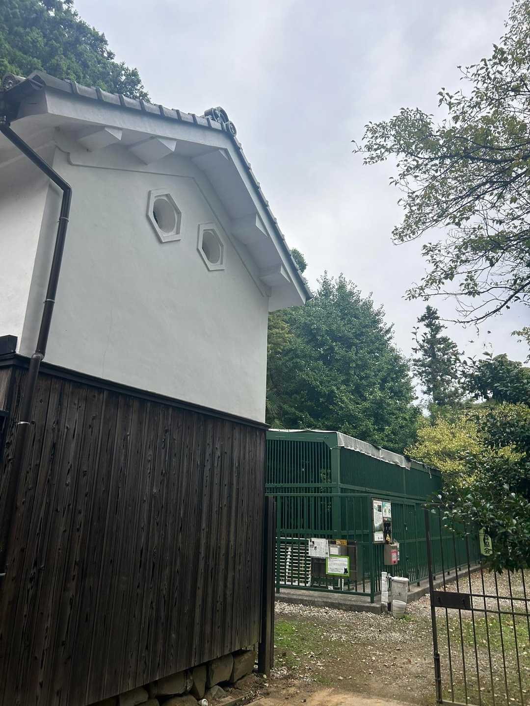 これな
