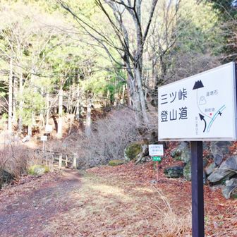 すぐに登山口です