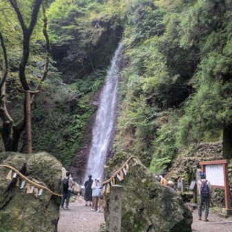 養老の滝