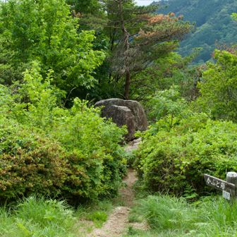 カブト岩