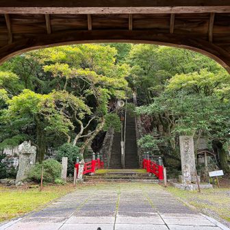 赤と 緑。補色カラーの組合わせ

この場合 差し色が赤⸜❤️⸝
緑が1色でないことも バランス良い‪💚

考えてみたら、Xmasカラーやな🎅😊