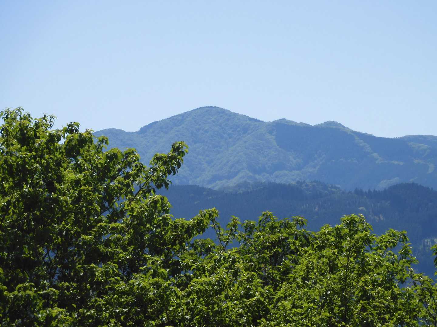 林道より、大金峰ズーム