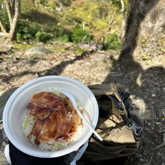 すき家のローストポーク丼
美味しかった✨