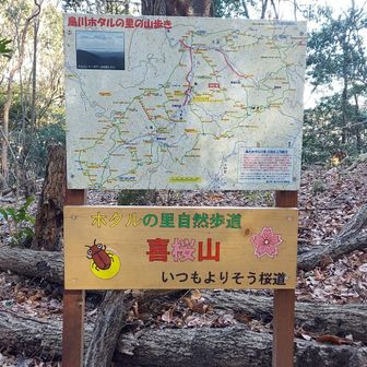 尾根が合流するピークに到着。まともなピークだとなんだかホッとする。

32. 喜桜山