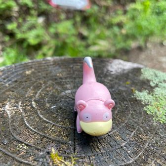 経ヶ岳・法恩寺山 いました。（回収します。）おかえり~。教えてくれた人、ここに置いてくれた人、画像をアップしてくれたり、関わってくれた人ありがとう。