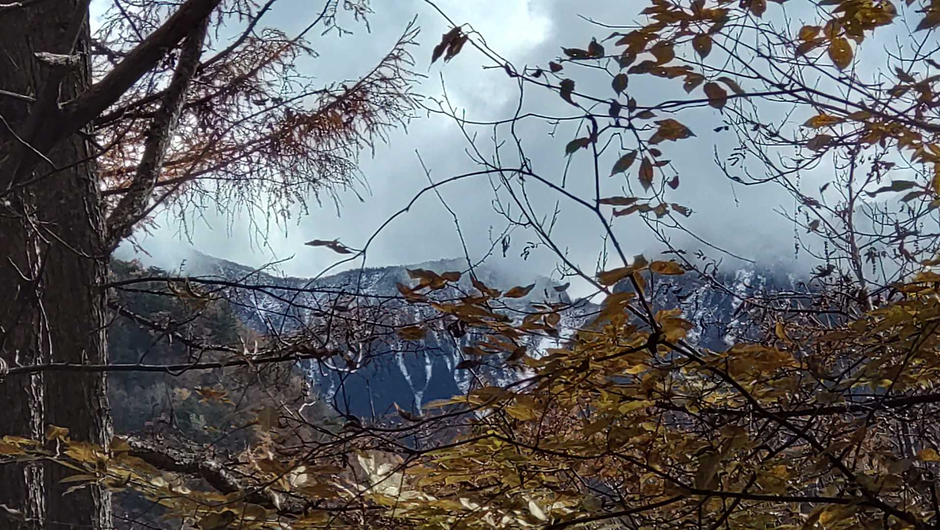 越路バス停-鳥倉登山口-三伏峠-三伏山-本谷山 往復コースの写真