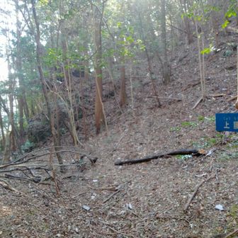 降りたい衝動が
後で調べると、天窓洞に降りるみたい
丸腰ではまずいですね