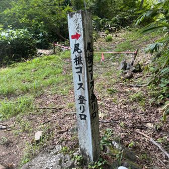 下山しました
お疲れさまでしたぁ