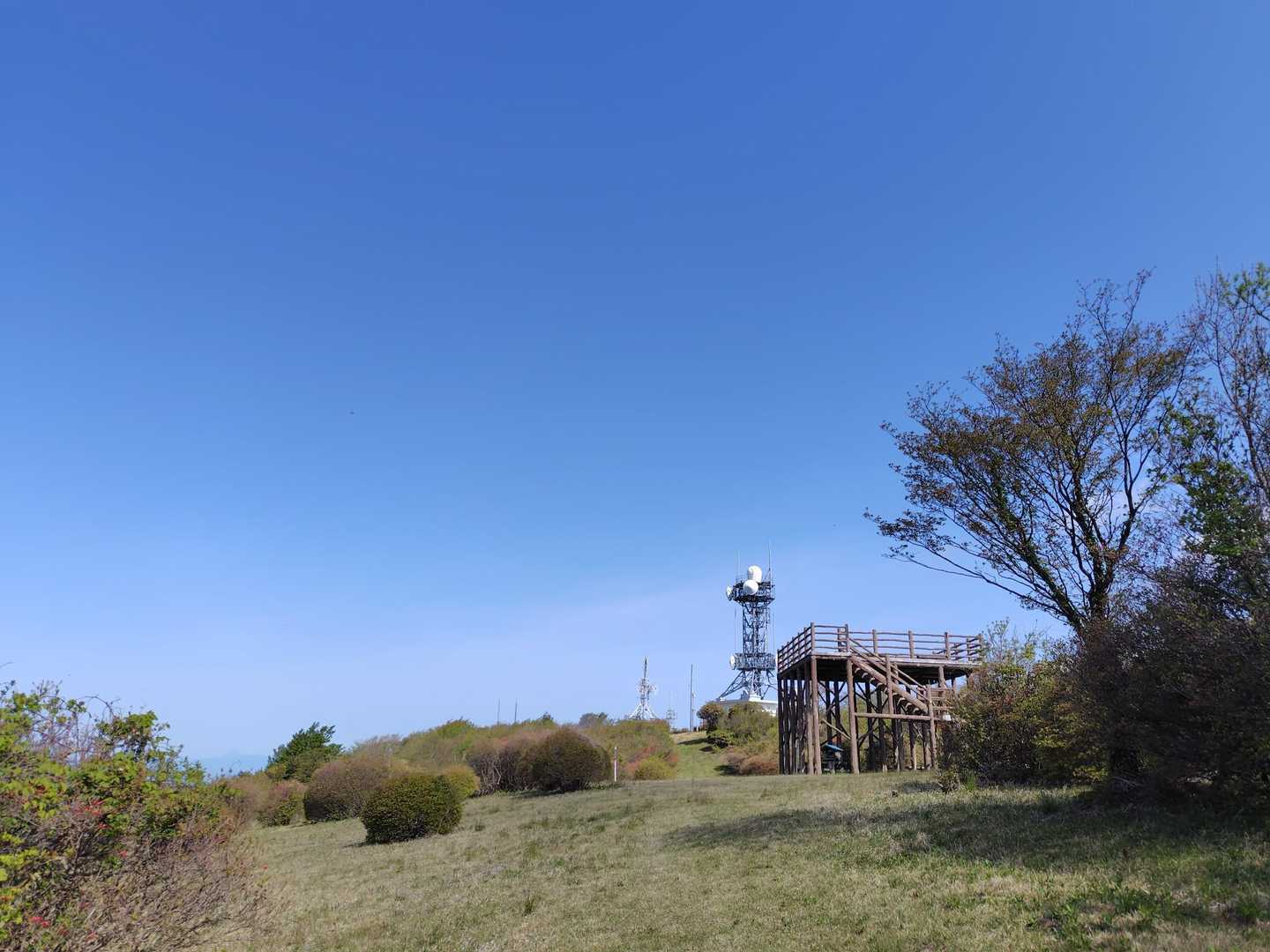 広ーい山頂