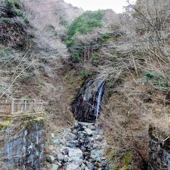 廃止が噂される月夜野行バスの一つ手前の神の川入口バス停で下車。
暫く舗装路歩き､先人達のバリルート踏跡記録通りエビラ沢の滝から取り付く計画♪

、、、ん？
どこから取り付くの？？？　ウロウロ…
ガケと滝だけだぞ、、、？
このまま舗装路進み登山道から目的地へは遠回りだけど、、仕方ないあきらめるかなぁ、、

諦めきれずウロウロし、何とかギリギリ四つん這いで崖登り出来そうなとこ見つけチャレンジするも、最初から5メートルほどズルズル滑り落ちる、、(泣)

一歩一歩踏み確かめ、引き返す事も出来ず進路が合っているか？生きた心地しない不安との戦いの中、命懸けで何とか稜線に到達！！
舗装路からの登山道を選ばなかった事に後悔(泣)

しかし、今年に入ってこんなのばっか、、
苦しいのは今日はここだけだろうと信じ、
計画通り進む(^_^;)