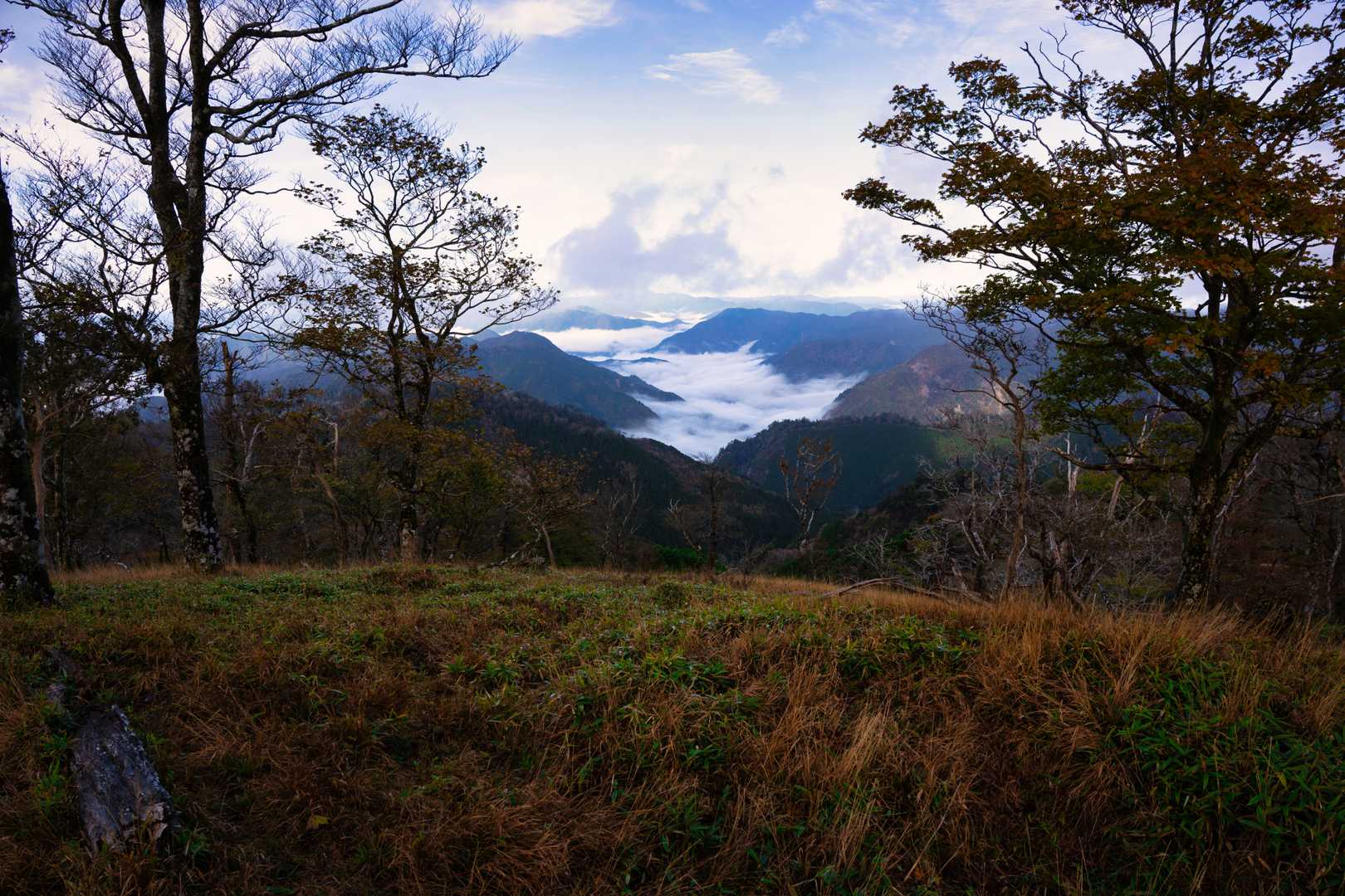 太尾登山口-古田ノ森-千丈平-釈迦ヶ岳-大日岳 往復コースの写真