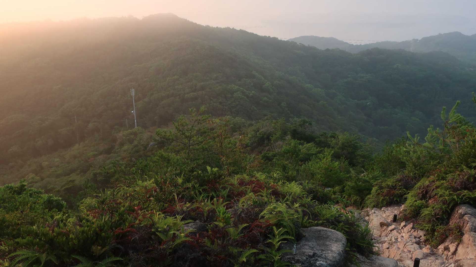 立石山登山口-立石山-立石山登山口 縦走コースの写真