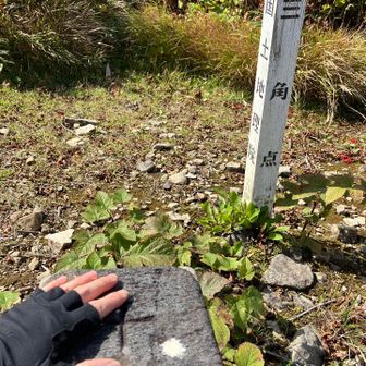 山頂