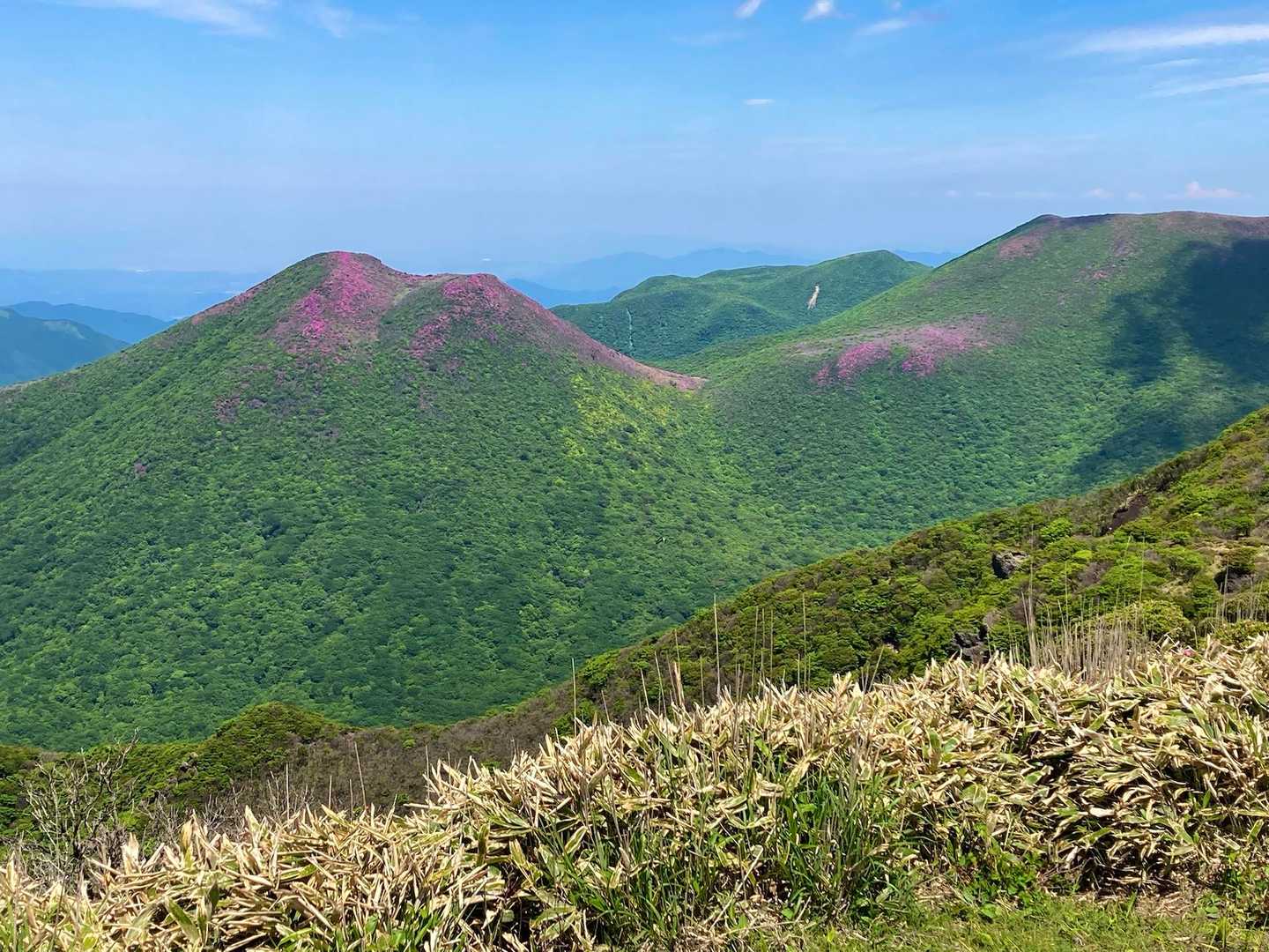 ミヤマキリシマ咲く三俣山 / ソラスティンの登山データ | YAMAP / ヤマップ
