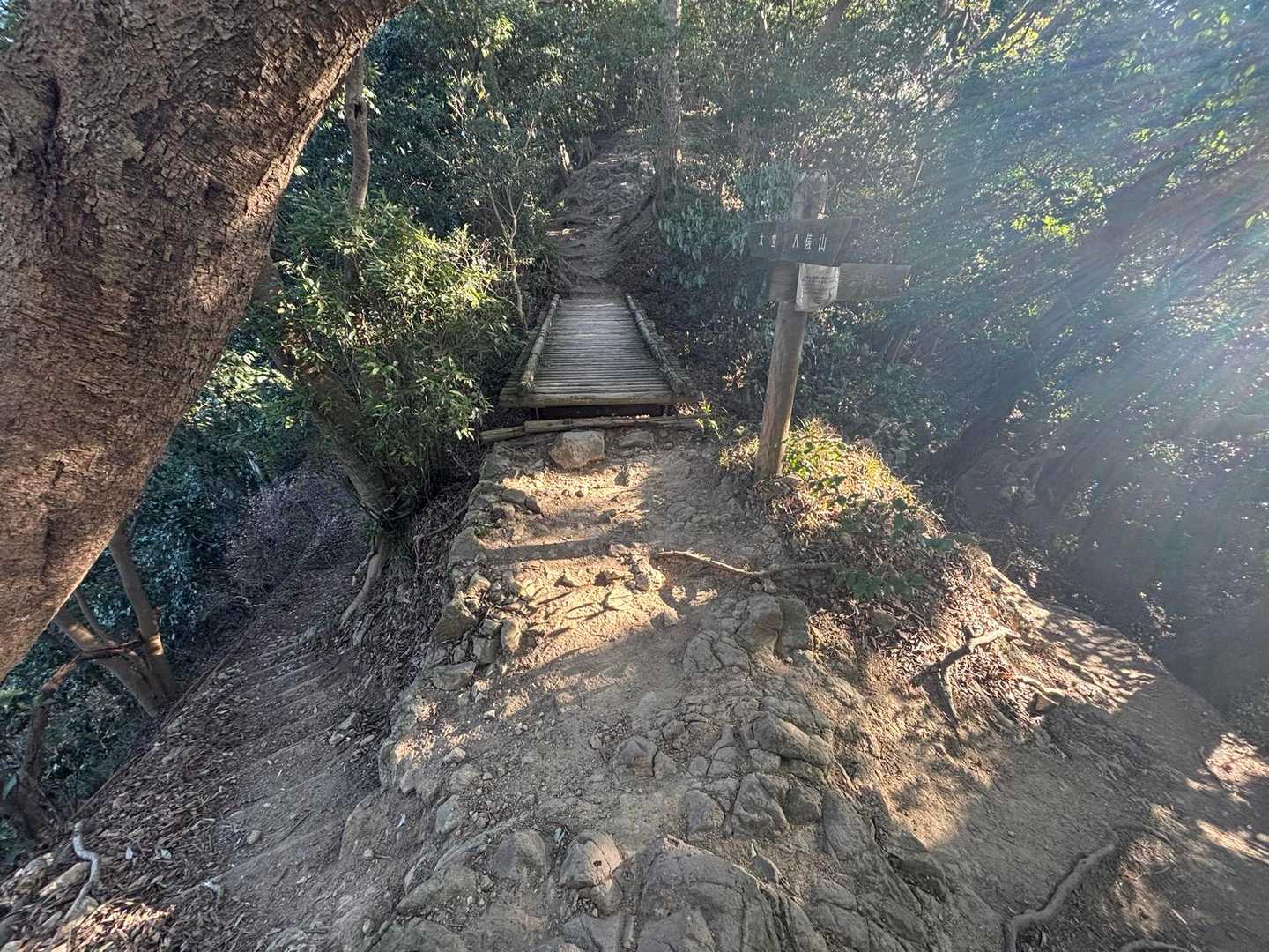 ここ三叉路になってて
光が差し込んでる右の崖みたいなとこ降りてったけど
やっぱ橋の方が道きれいかもかって戻ってきた軌跡