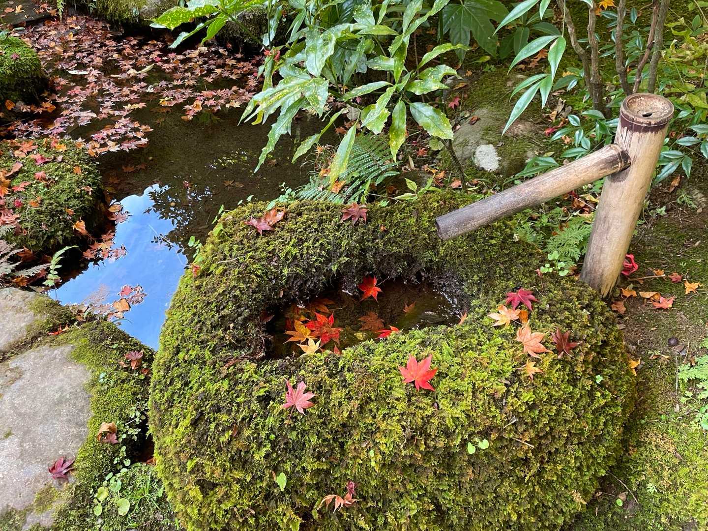 どこを切り取っても、日本的な光景。