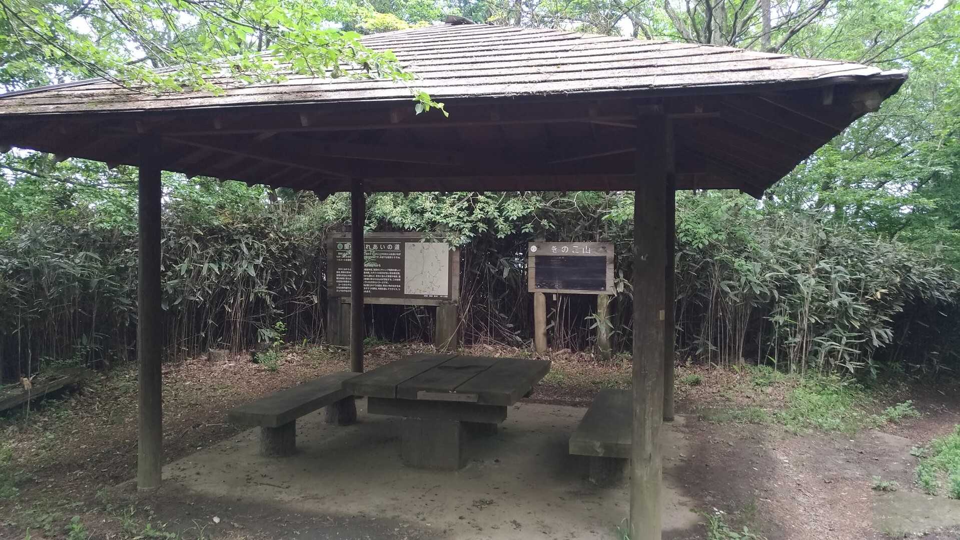 きのこ山の写真