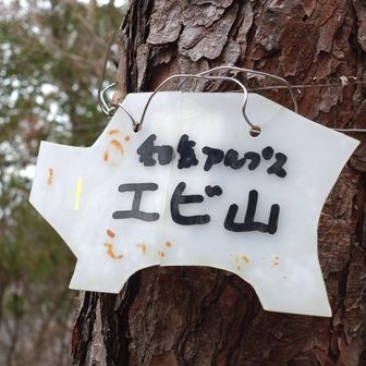 ピーク④🐗🦐