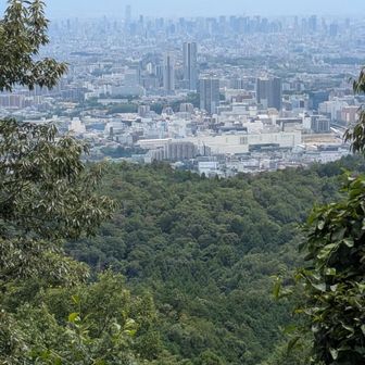 大阪の町が見えました。