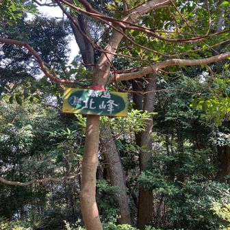 こっちの可愛い🩷🐟