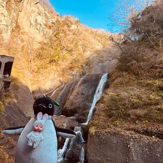 有料エリアへ行くまでもないので