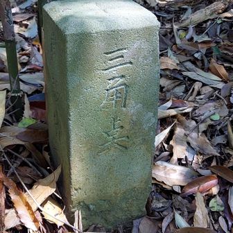 三角点はしっかり見えるが、周辺は殆ど藪である。