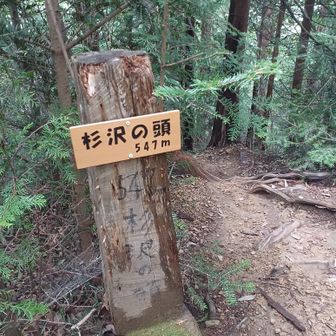杉沢