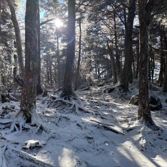 ここらあたりが丸山
結局どこかわからなかった