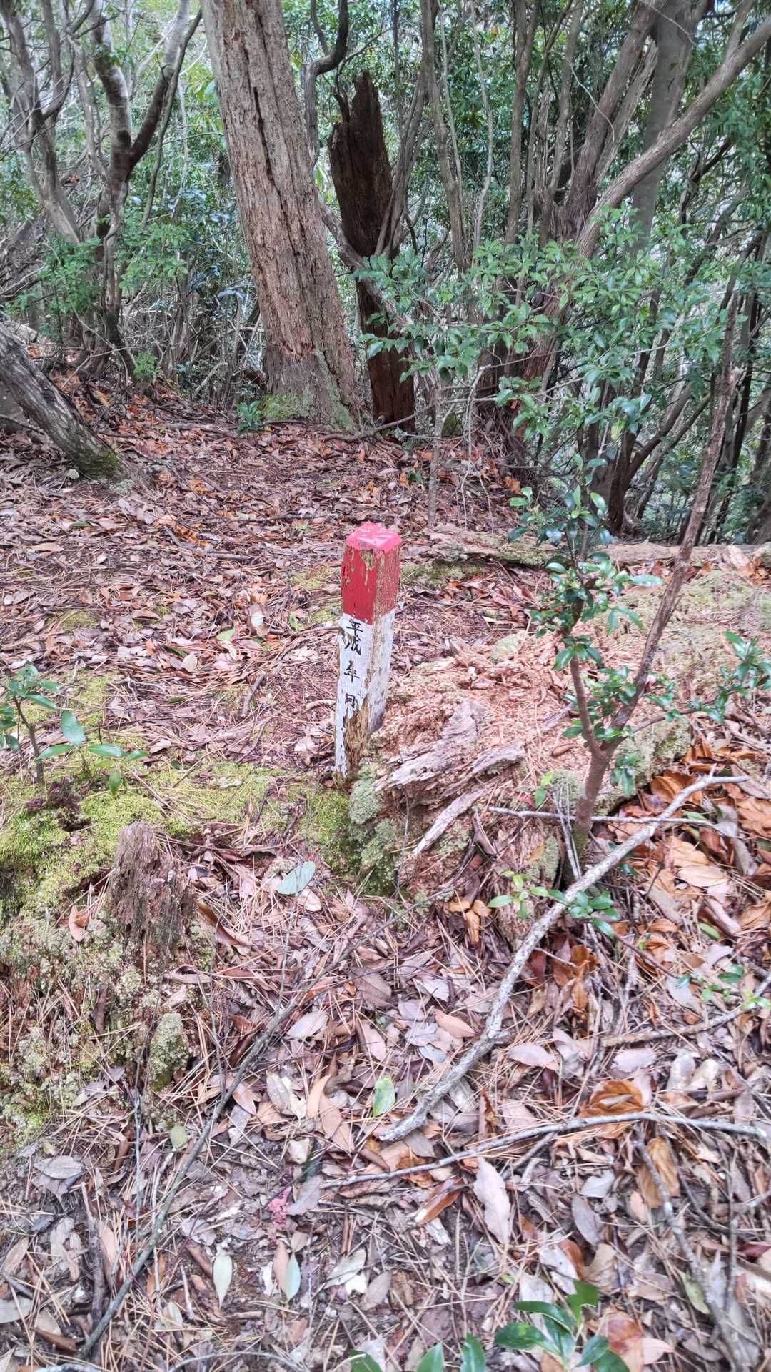 山頂