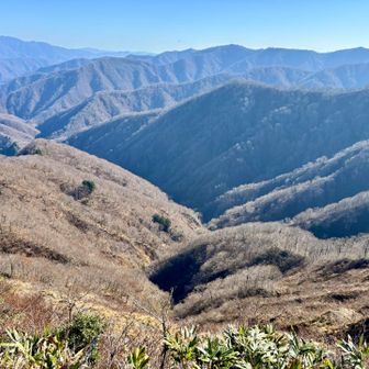 おなか減った。
藪の薄いとこに座ってお昼ごはん。
あの山、蕎麦粒山かなあ・・・と、ゲンキーで買ったオツトメ品のパンをモグモグ。
もうすっかり岐阜のお山は冬の色や。