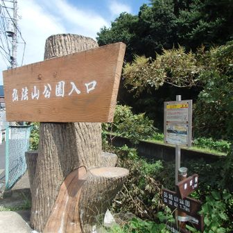 ここから