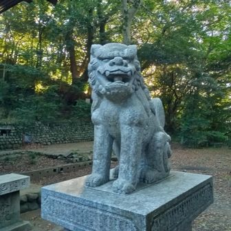 阿形  いいお顔🥰
本来は角の無い獅子だそうです。