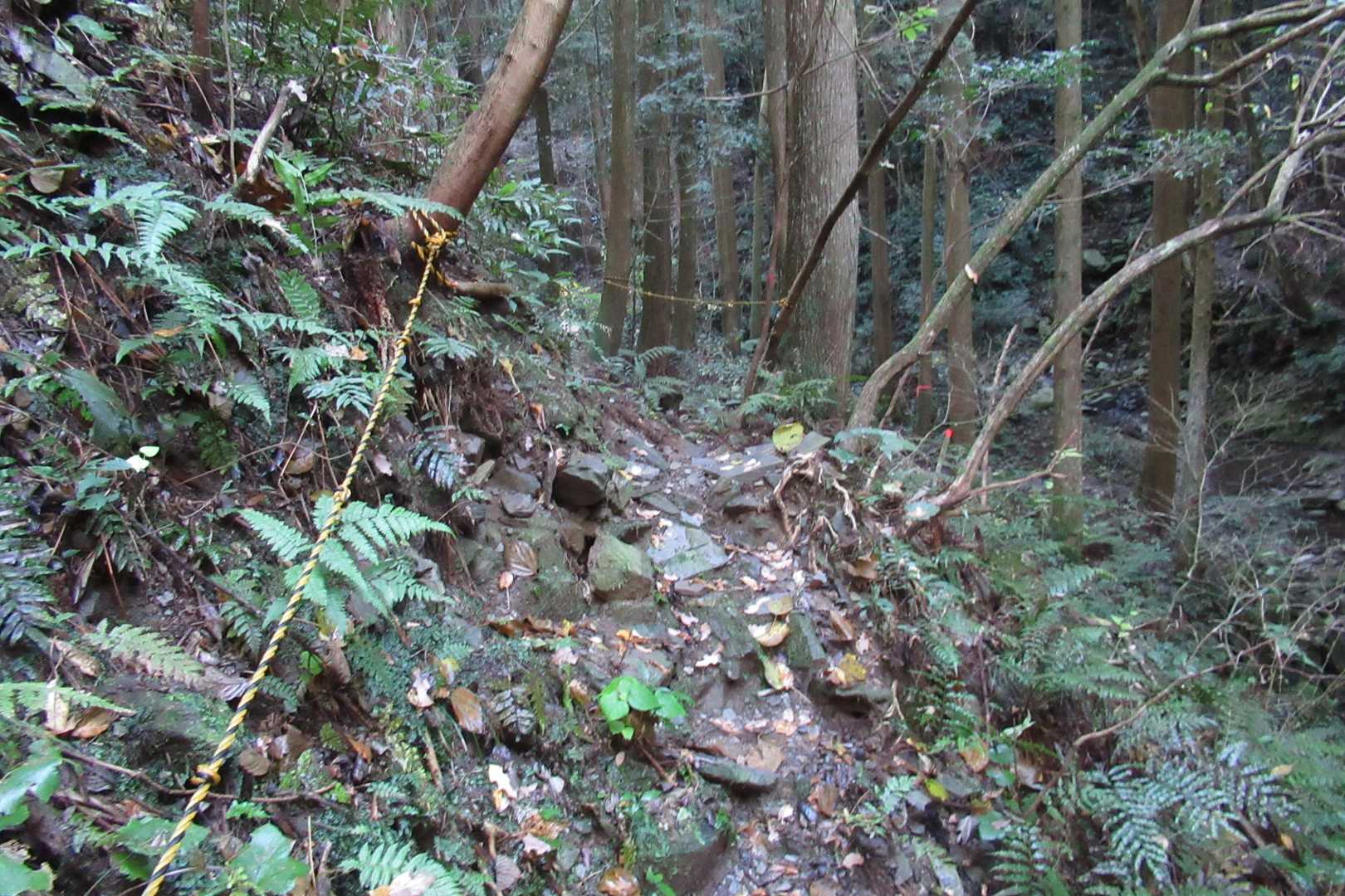 沢に下りていく道は滑落注意❗