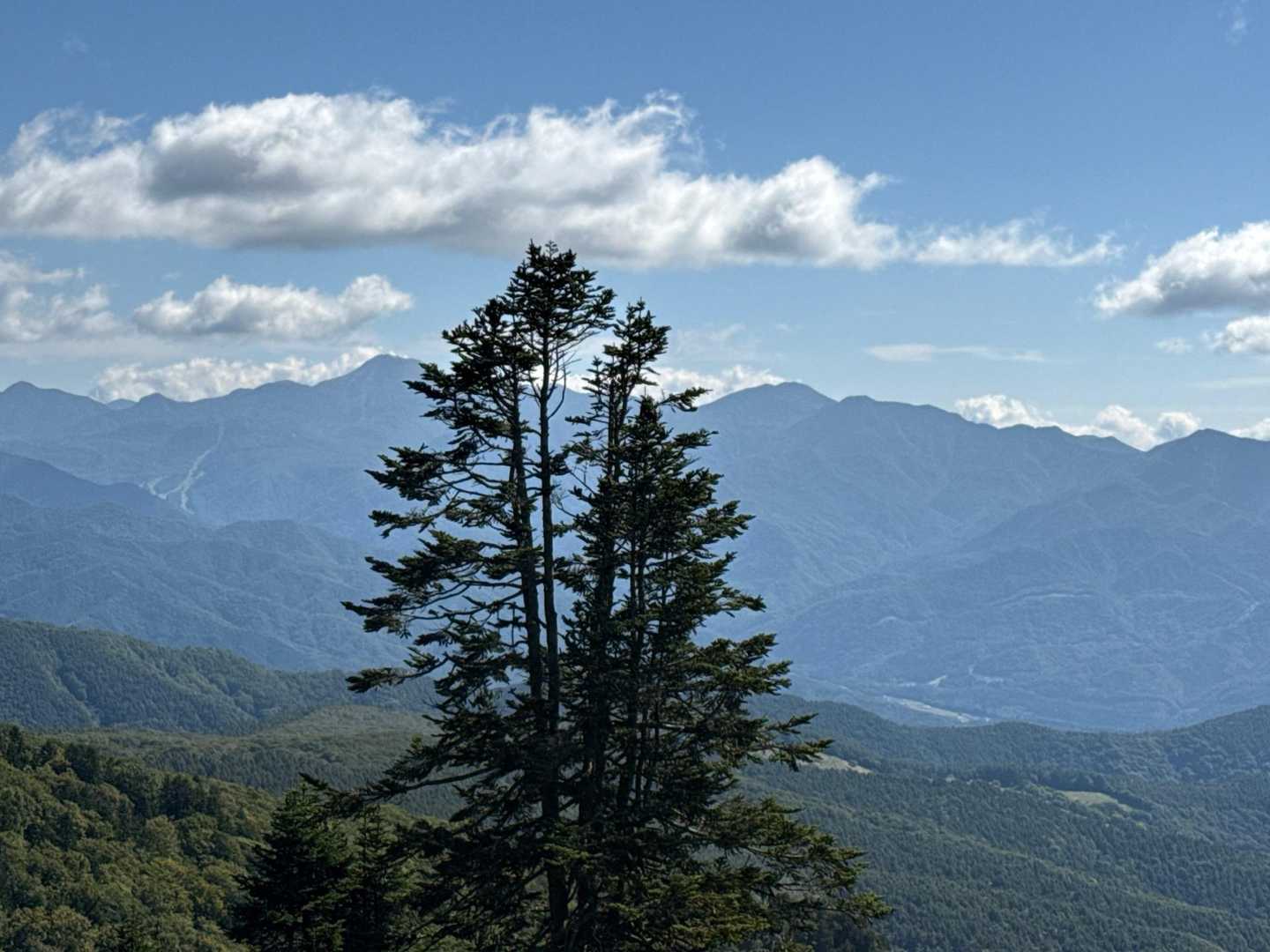セビオス岳-武尊山 往復コースの写真