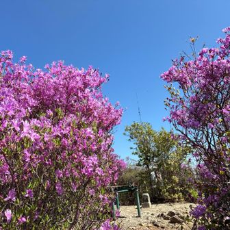 茶臼山山頂　三角点