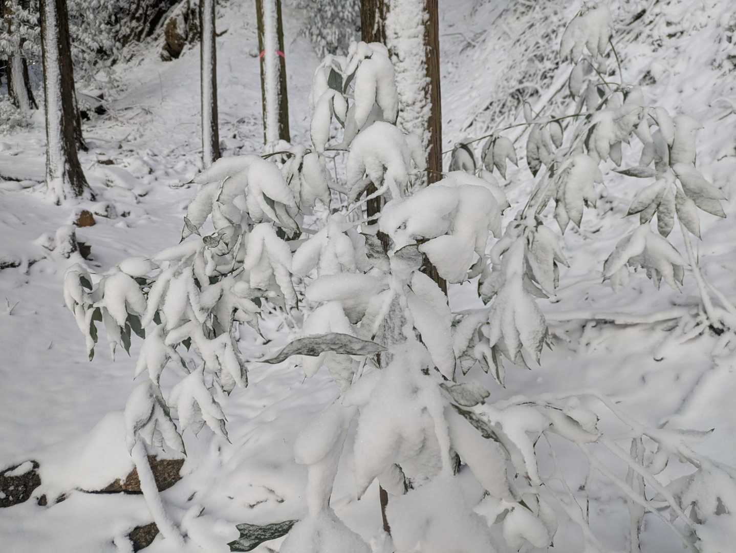 油日岳 往復コースの写真