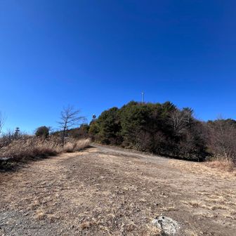 で、こちらは人もいないし風もよけれるのでここでランチすることに🍙