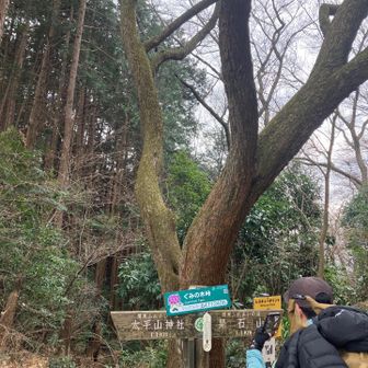 グミの木峠　ゆるキャラの頭　ブルーベリー🫐⁉️ いやアジサイだろ？と