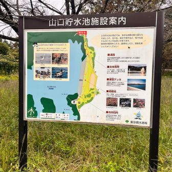散策(バイキング)に丁度いい山口貯水池🤗

ほんとだ笑
ハイキングがバイキングになってる🤣
散策じゃなくて、食べ放題になっちゃいますね(´∀`*)ヶﾗヶﾗ
でも、面白いから訂正しないで、そのままにしておきます🤭🤭🤭