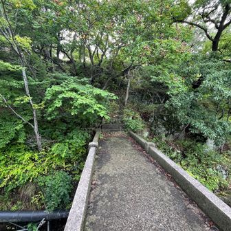 この橋を渡って急な坂を登りましたが、