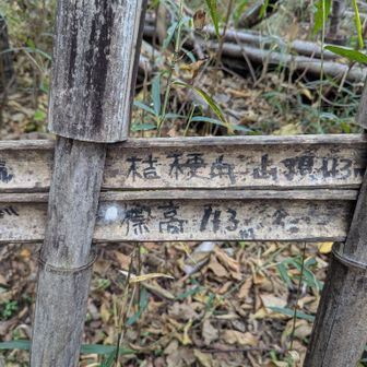 桔梗山は一旦行き過ぎて、もう一度戻った。山頂っぽくないよね。