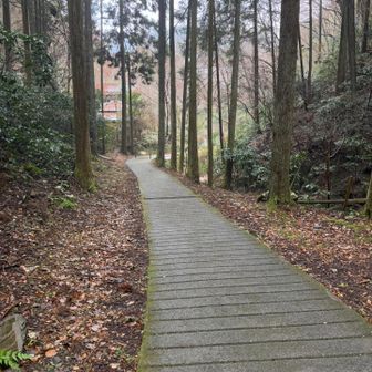 一旦下まで下ります🏃‍➡️