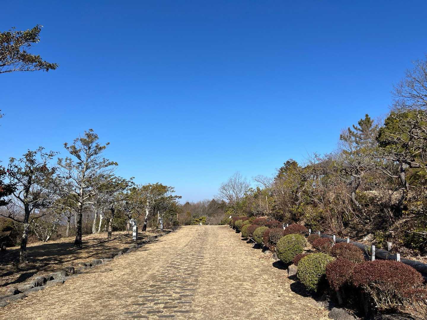 笠原富士-深山 縦走コースの写真