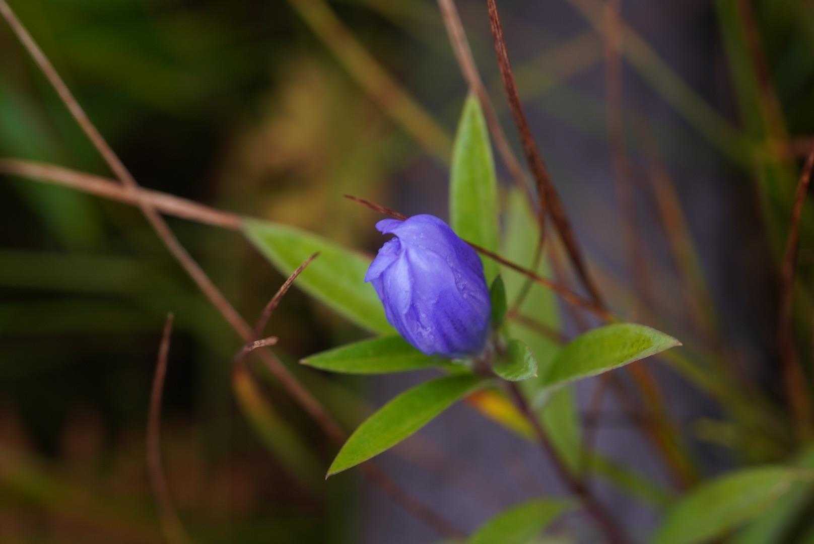 秋の色💙