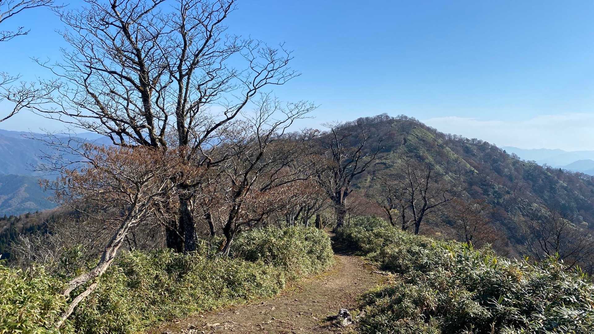 船木山登山口-船木山-後山 往復コースの写真
