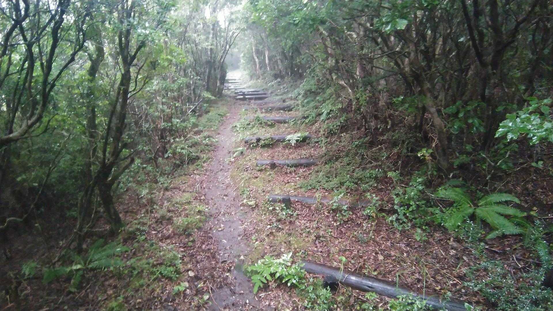 登りは続きます😎