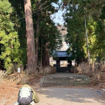 常に罰当たりなことばかりしてるので　ここで入っていいか　お伺いします