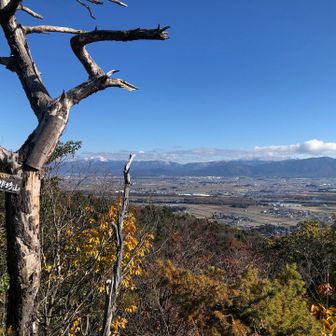太郎坊山山頂✨霊仙山と養老山脈⛄️